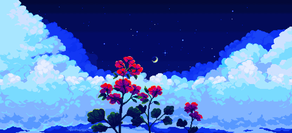 Sky and Flowers