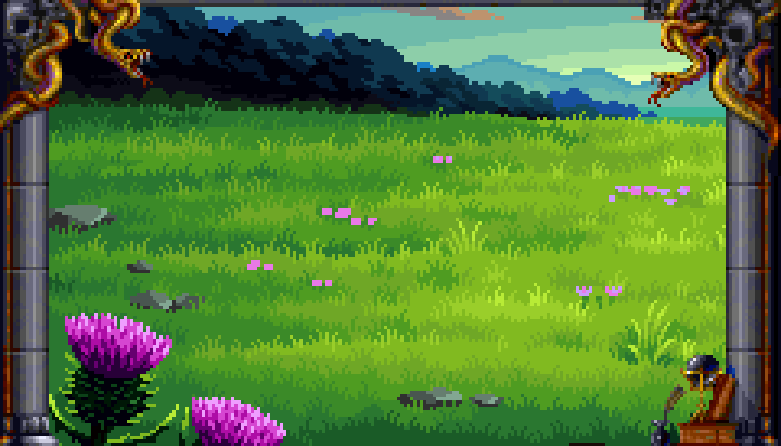 Flower Field