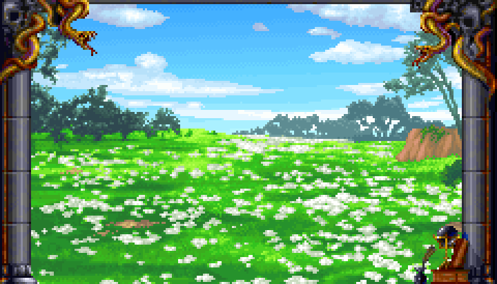 Flower Field