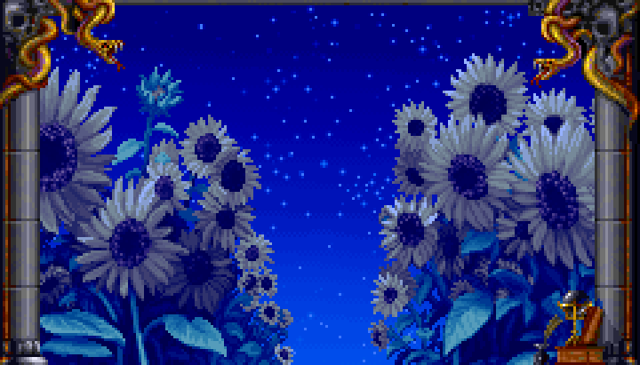 Sunflowers Night