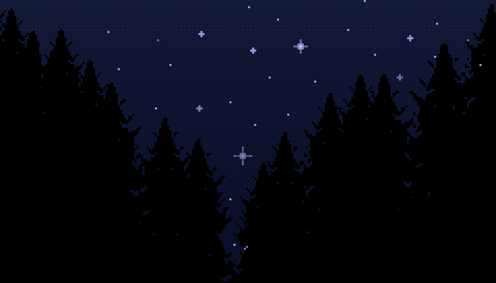 Night Forest