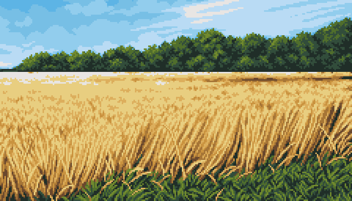Rye Field