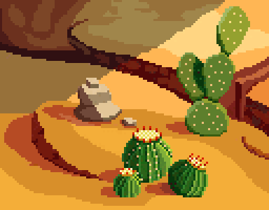 Cheria Cactuses