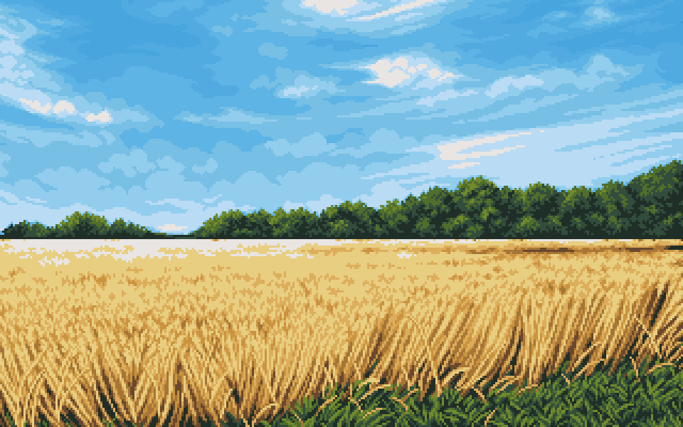 Rye Field