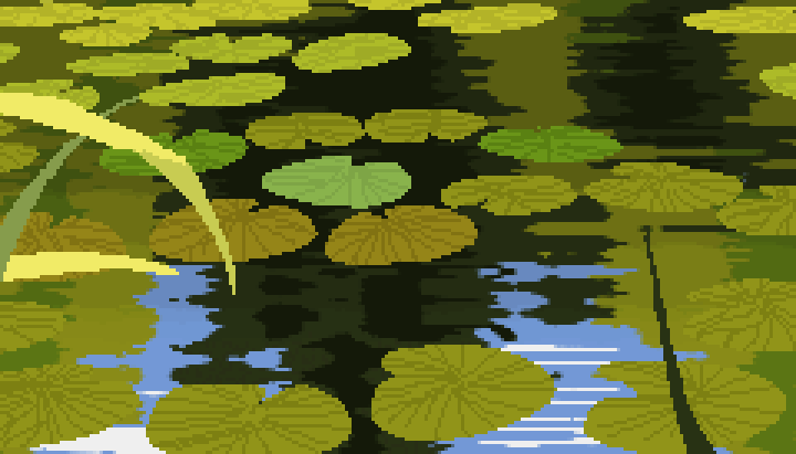 Pond Lilies