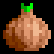 Onion Bulb