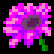 Magenta Flower