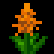 Arkania Online Items - Orange Flower