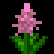 Arkania Online Items - Pink Flower