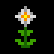 Arkania Online Items - White Flower