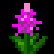 Arkania Online Items - Purple Flower