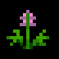 Arkania Online Items - Purple Flower
