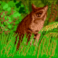 Arkania - Hiding Lynx
