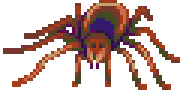 Arkania - Spider