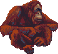 Monkeys