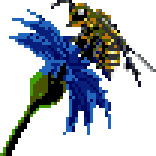 Bees