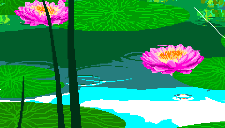 Pink Pond Lilies