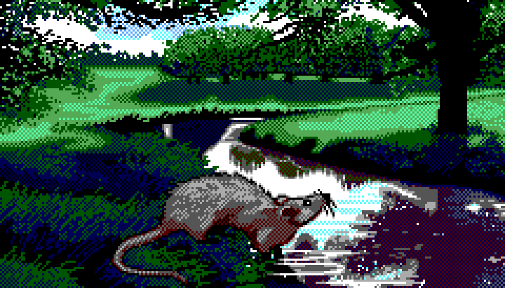 Water Rat