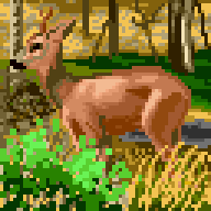 Arkania - Deer