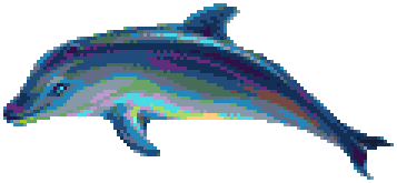 Dolphin
