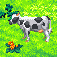 Cow