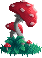 Mushrooms