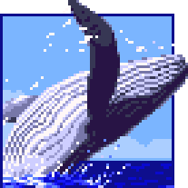 Whale