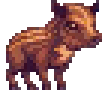 Pigs and Boars