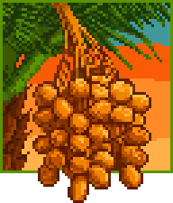 Fig Trader